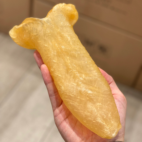 7-8頭花膠筒