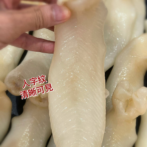 澳洲金龍肚
