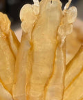 扎膠公