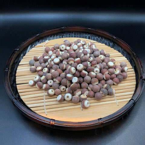 原粒特大茨實