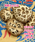 日本海龍菇