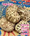 日本海龍菇