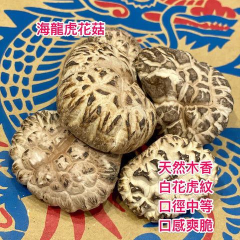 日本海龍菇
