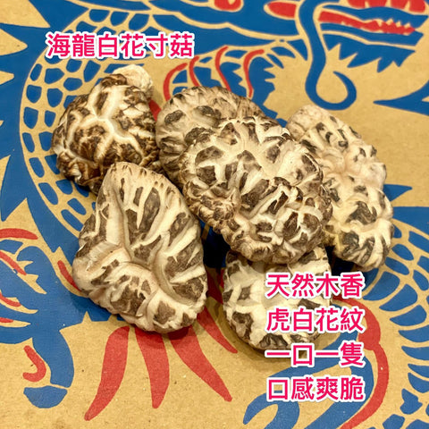 日本海龍菇