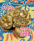 日本海龍菇