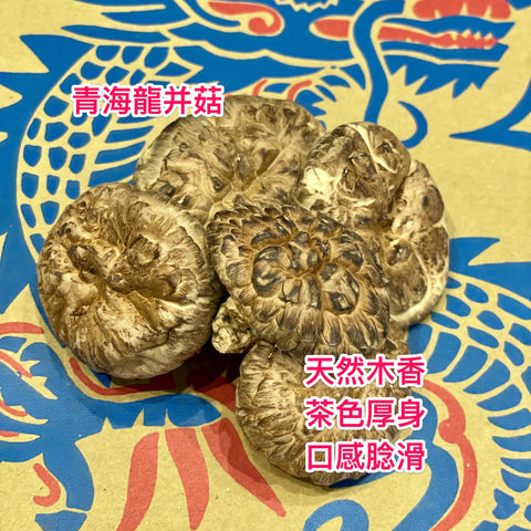 日本海龍菇