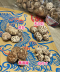 日本海龍菇