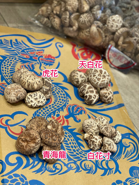 日本海龍菇