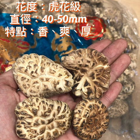 日本海龍虎花菇