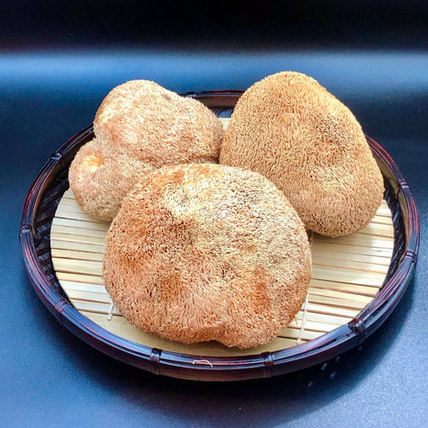 特選猴頭菇