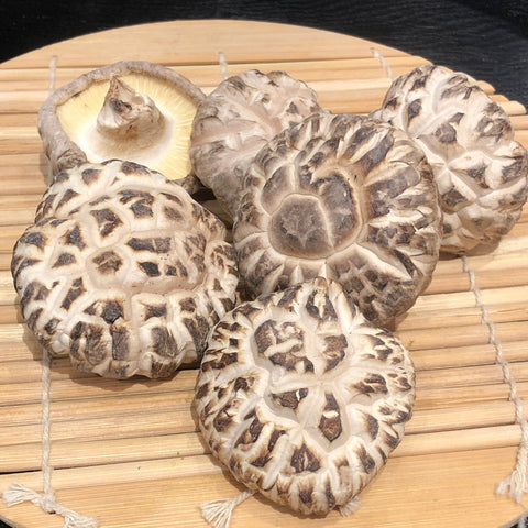 白花厚菇