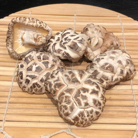 白花菇