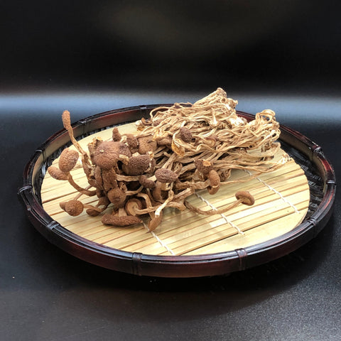 茶樹菇