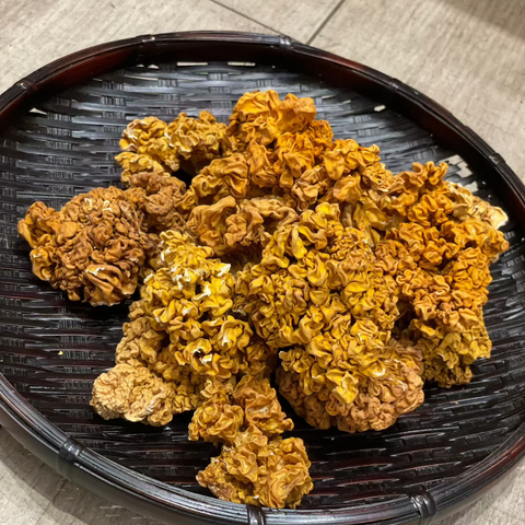 頂級黃耳