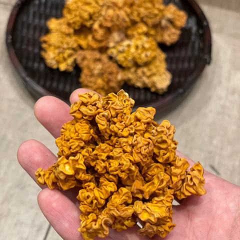 頂級金磚黃耳