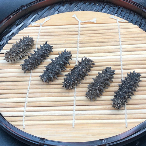 北海道特選遼參