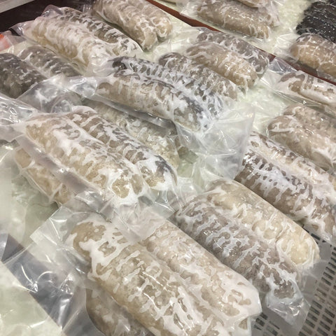 即用南澳禿參