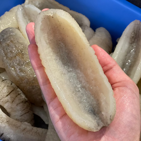 南澳禿參