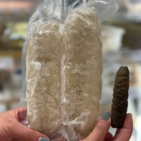 南澳禿參