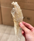 特大地魚肉