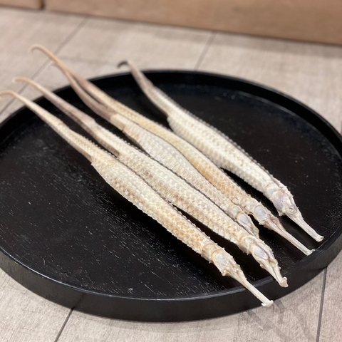 頂級澳洲海龍