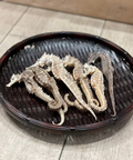 頂級泰國海馬